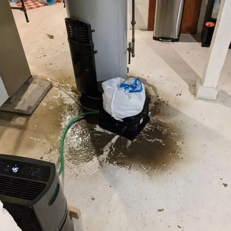 Sewage Backup Cleanup Service in Fayette, MO